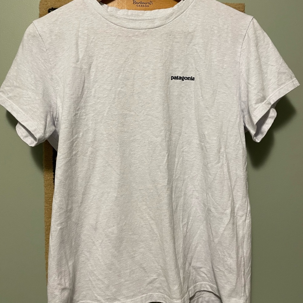 Patagonia Women's Light blue T-Shirt